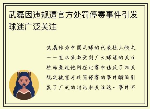 武磊因违规遭官方处罚停赛事件引发球迷广泛关注