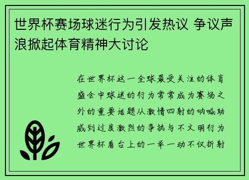 世界杯赛场球迷行为引发热议 争议声浪掀起体育精神大讨论 世界杯赛场球迷行为引发热议 争议声浪掀起体育精神大讨论